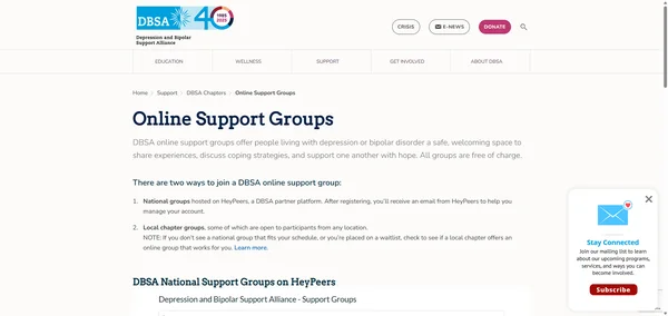 Depression and Bipolar Support Alliance (DBSA)
